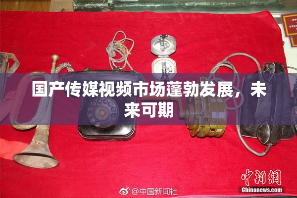 国产传媒视频市场蓬勃发展，未来可期
