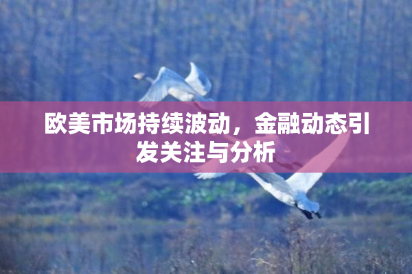 欧美市场持续波动，金融动态引发关注与分析