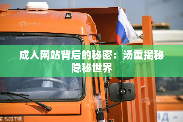 成人网站背后的秘密：汤重揭秘隐秘世界