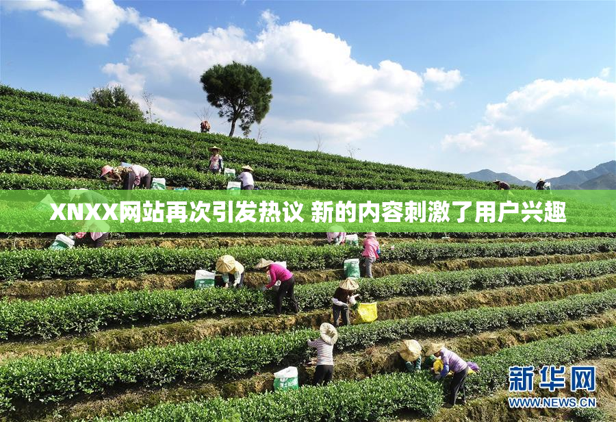 XNXX网站再次引发热议 新的内容刺激了用户兴趣