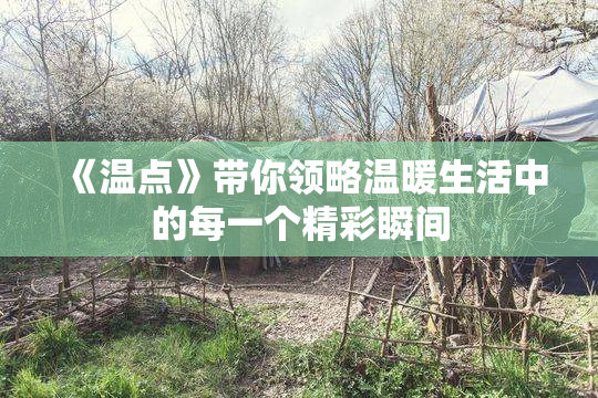 《温点》带你领略温暖生活中的每一个精彩瞬间