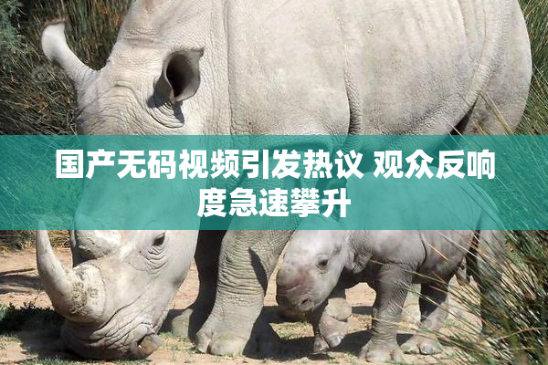 国产无码视频引发热议 观众反响度急速攀升