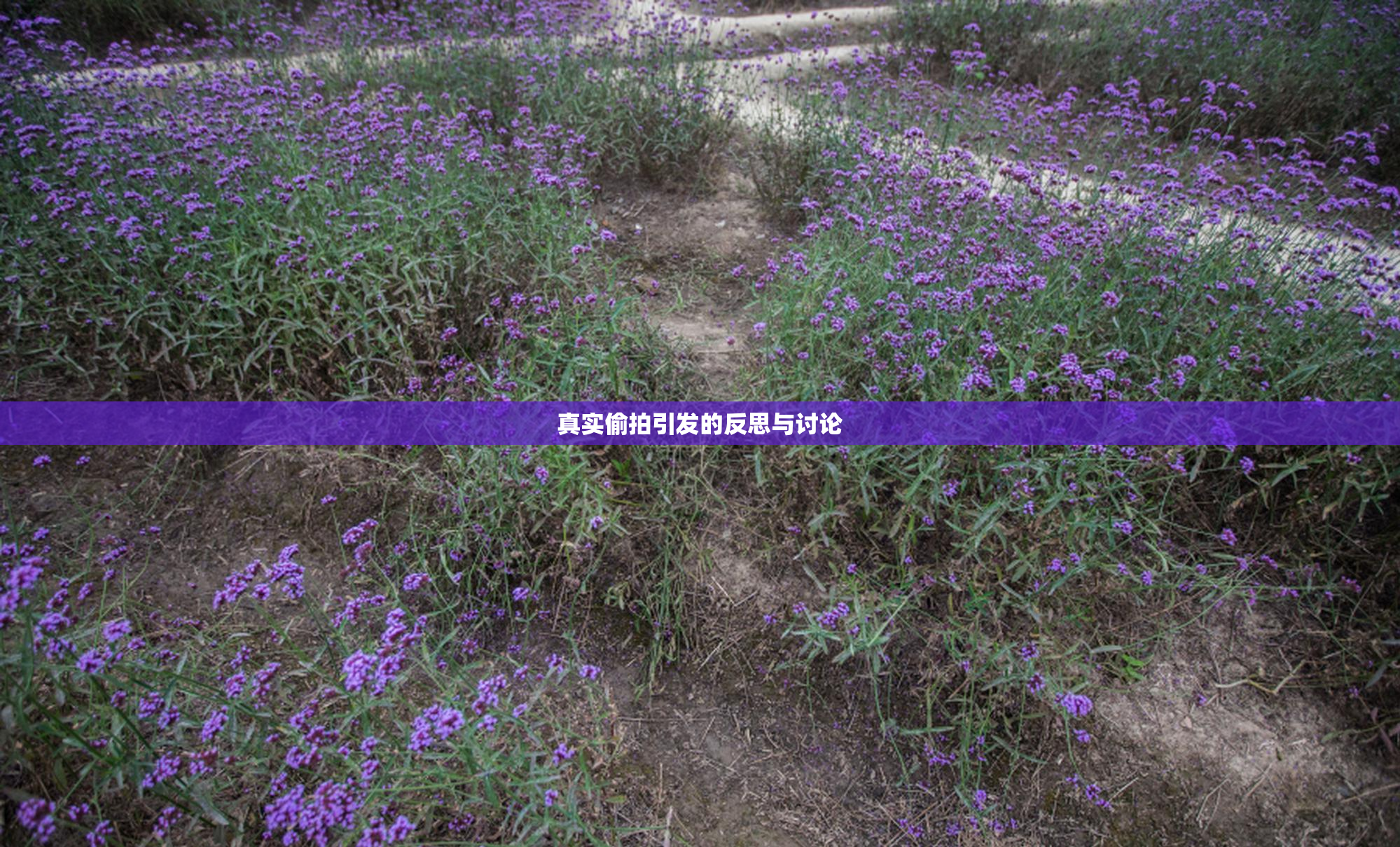 真实偷拍引发的反思与讨论