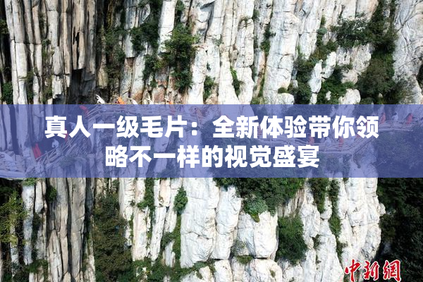 真人一级毛片：全新体验带你领略不一样的视觉盛宴