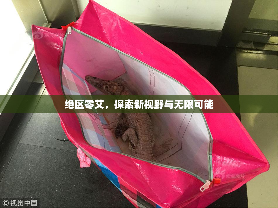 绝区零艾，探索新视野与无限可能