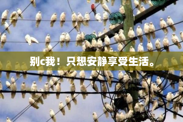 别c我！只想安静享受生活。