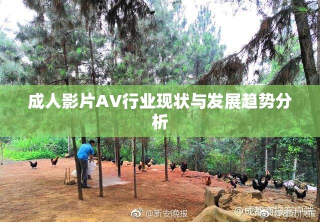 成人影片AV行业现状与发展趋势分析