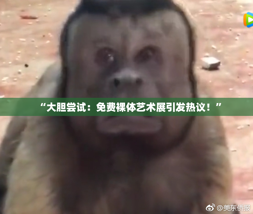 “大胆尝试：免费裸体艺术展引发热议！”