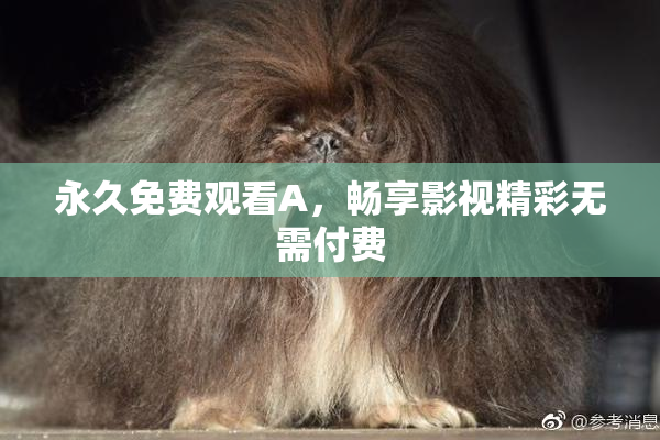 永久免费观看A，畅享影视精彩无需付费