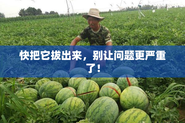 快把它拔出来，别让问题更严重了！