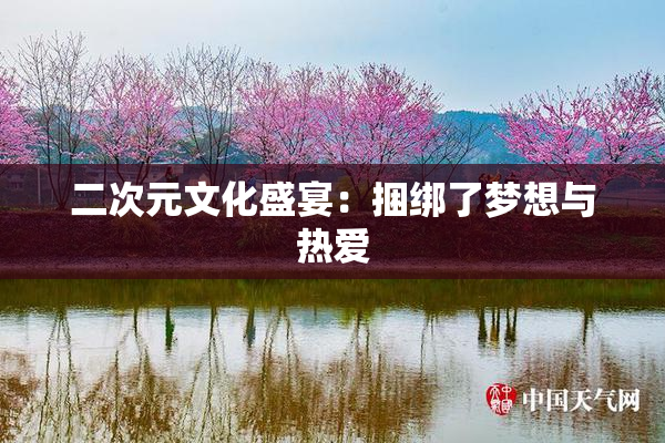 二次元文化盛宴：捆绑了梦想与热爱
