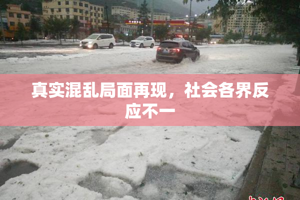 真实混乱局面再现，社会各界反应不一
