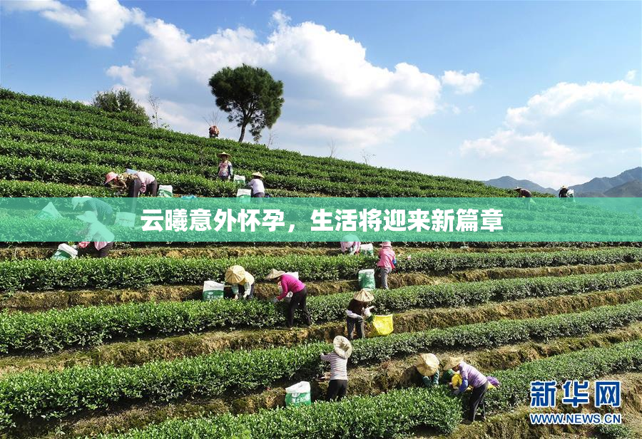 云曦意外怀孕，生活将迎来新篇章