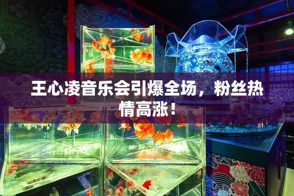 王心凌音乐会引爆全场，粉丝热情高涨！