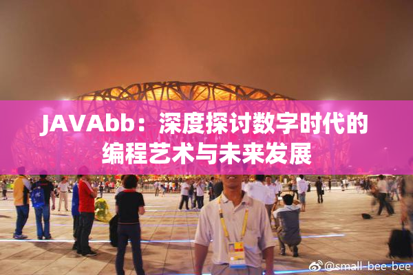 JAVAbb：深度探讨数字时代的编程艺术与未来发展