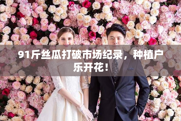 91斤丝瓜打破市场纪录，种植户乐开花！