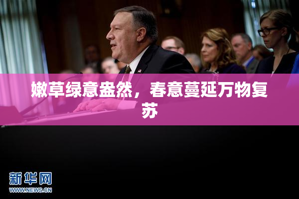 嫩草绿意盎然，春意蔓延万物复苏