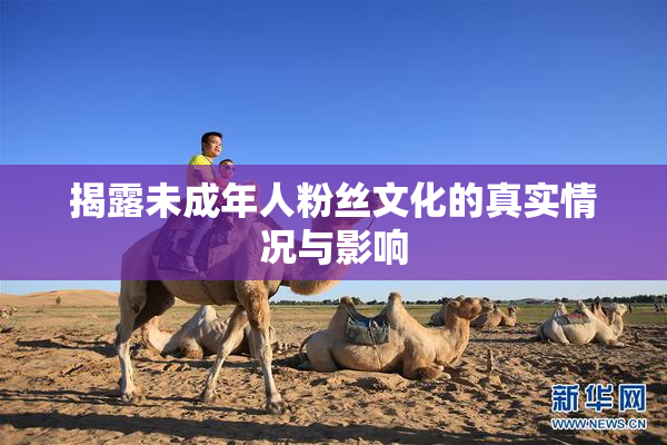 揭露未成年人粉丝文化的真实情况与影响
