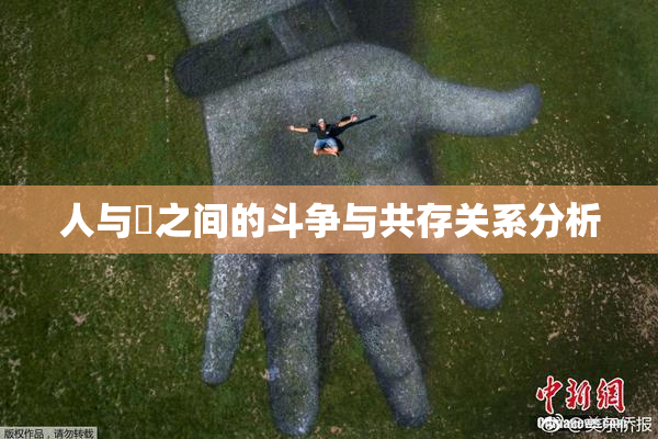 人与嘼之间的斗争与共存关系分析