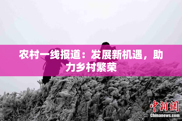 农村一线报道：发展新机遇，助力乡村繁荣