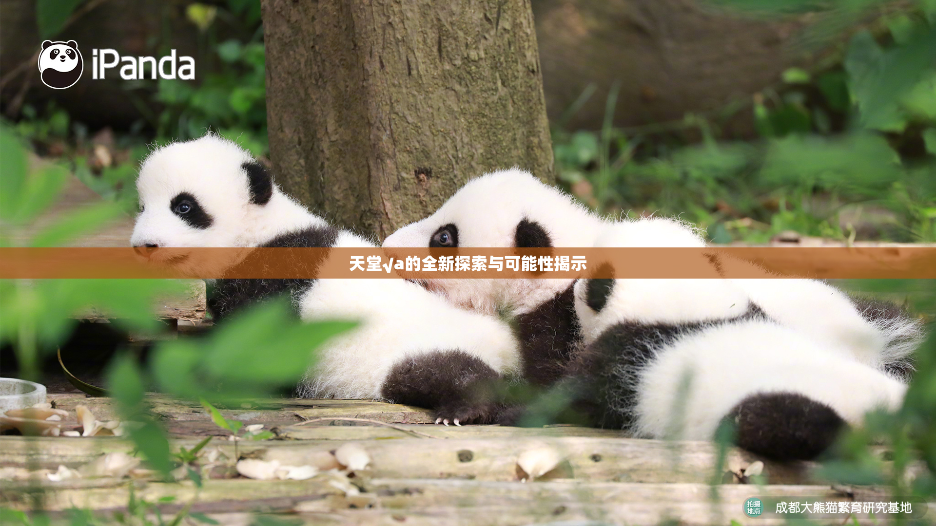 天堂√a的全新探索与可能性揭示