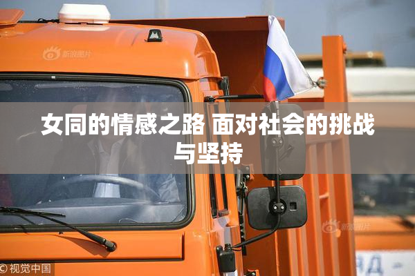 女同的情感之路 面对社会的挑战与坚持