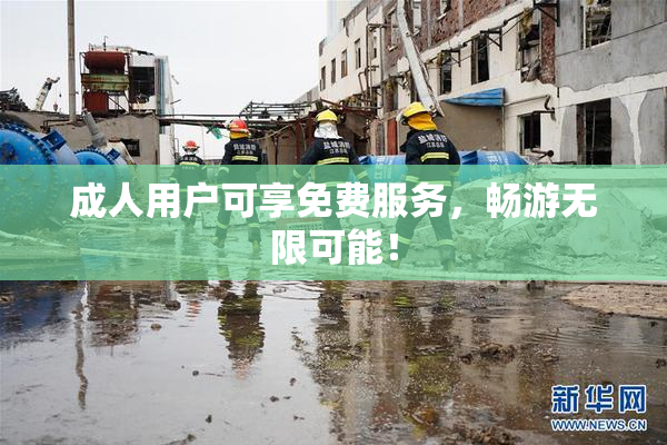 成人用户可享免费服务，畅游无限可能！