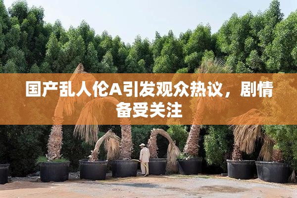 国产乱人伦A引发观众热议，剧情备受关注