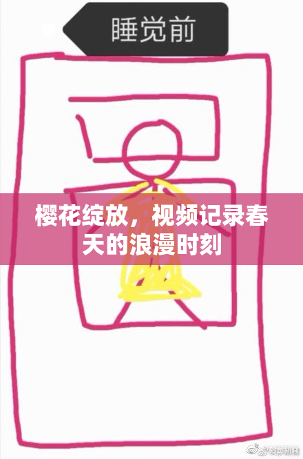 樱花绽放，视频记录春天的浪漫时刻