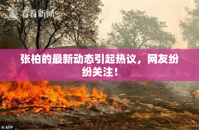 张柏的最新动态引起热议，网友纷纷关注！