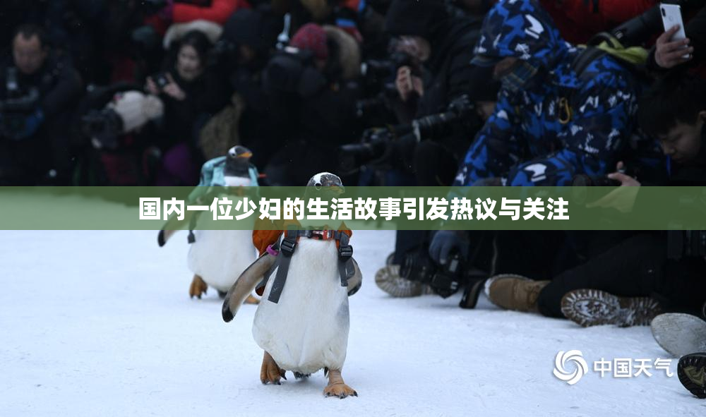 国内一位少妇的生活故事引发热议与关注