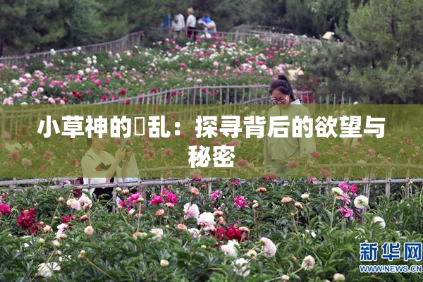 小草神的婬乱：探寻背后的欲望与秘密