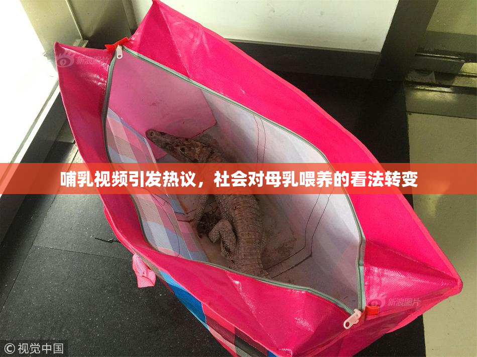 哺乳视频引发热议，社会对母乳喂养的看法转变