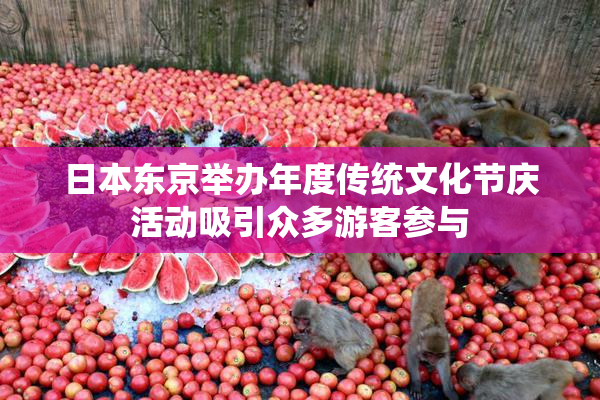 日本东京举办年度传统文化节庆活动吸引众多游客参与