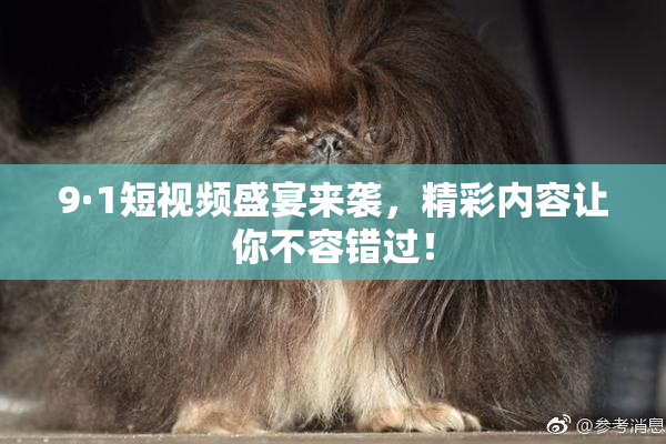 9·1短视频盛宴来袭，精彩内容让你不容错过！