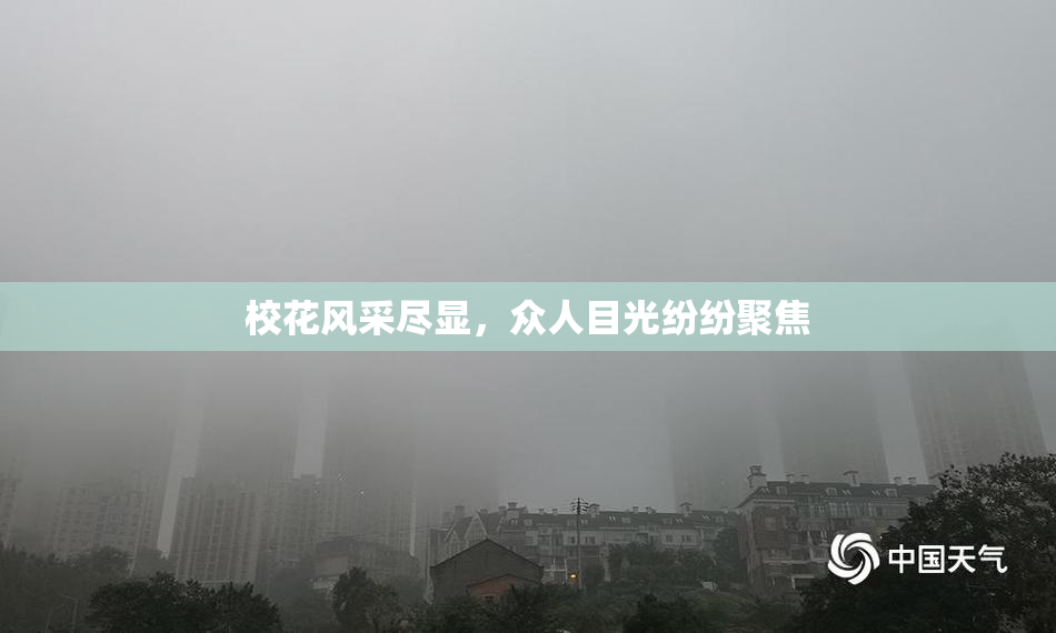 校花风采尽显，众人目光纷纷聚焦