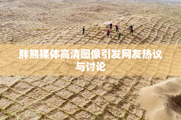 胖熊裸体高清图像引发网友热议与讨论