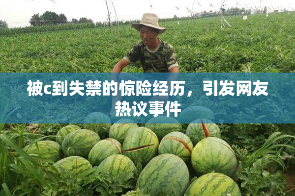 被c到失禁的惊险经历，引发网友热议事件