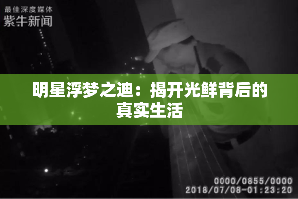 明星浮梦之迪：揭开光鲜背后的真实生活