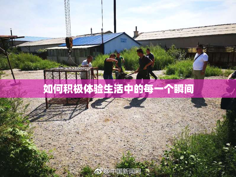 如何积极体验生活中的每一个瞬间