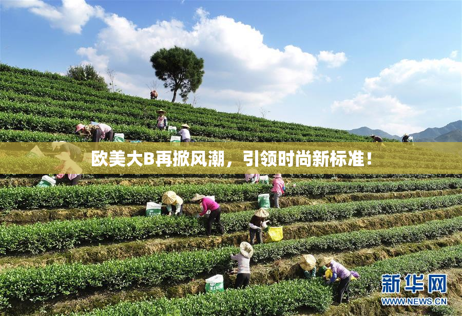 欧美大B再掀风潮，引领时尚新标准！