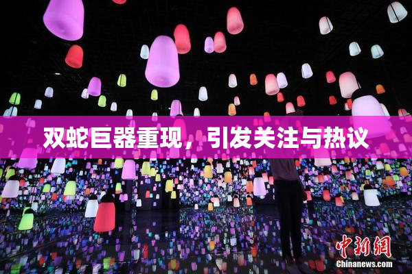 双蛇巨器重现，引发关注与热议