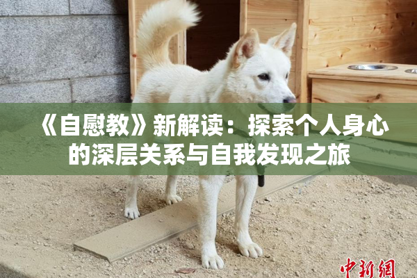 《自慰教》新解读：探索个人身心的深层关系与自我发现之旅