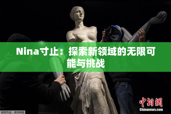 Nina寸止：探索新领域的无限可能与挑战