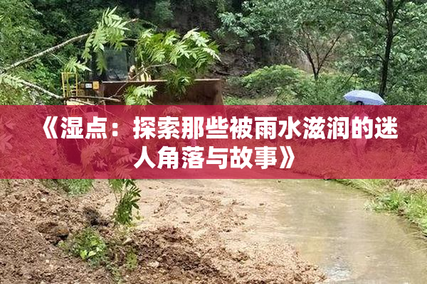 《湿点：探索那些被雨水滋润的迷人角落与故事》