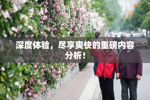 深度体验，尽享爽快的重磅内容分析！