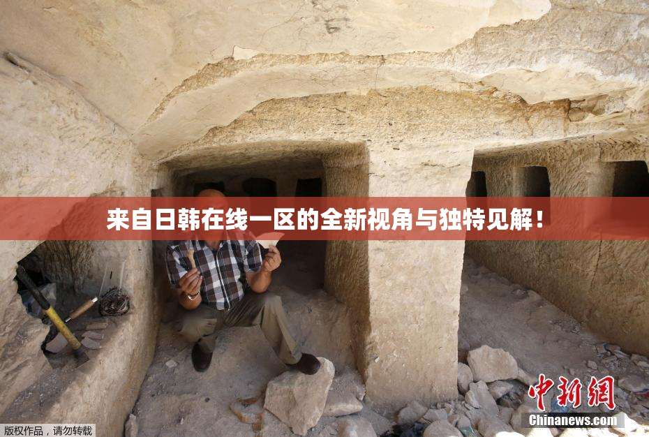 来自日韩在线一区的全新视角与独特见解！
