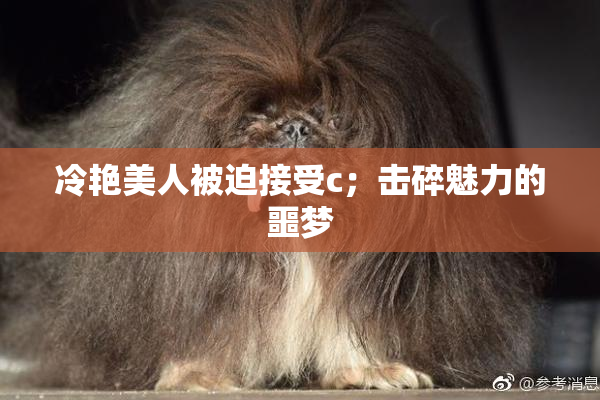 冷艳美人被迫接受c；击碎魅力的噩梦