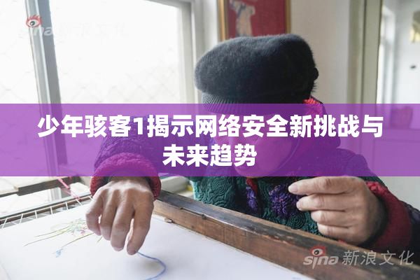 少年骇客1揭示网络安全新挑战与未来趋势