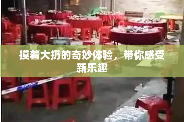 摸着大扔的奇妙体验，带你感受新乐趣